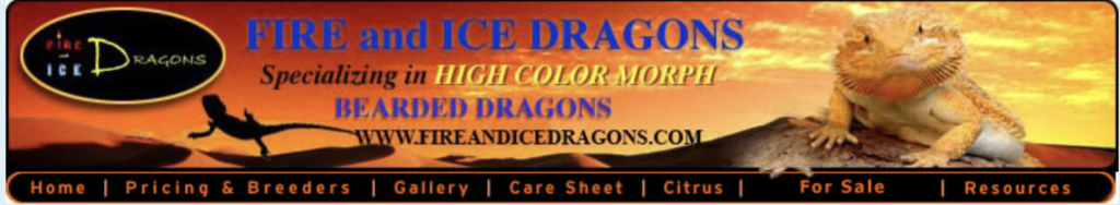 fire and ice dragons