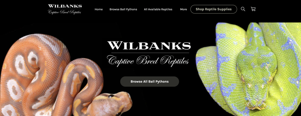 wilbanks reptiles