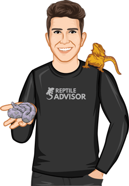 ReptileAdvisor - Jeff